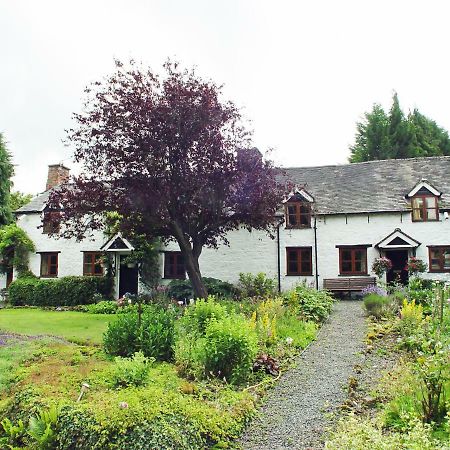 Glencoed B&B Wrexham Exteriér fotografie