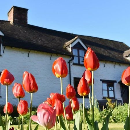Glencoed B&B Wrexham Exteriér fotografie