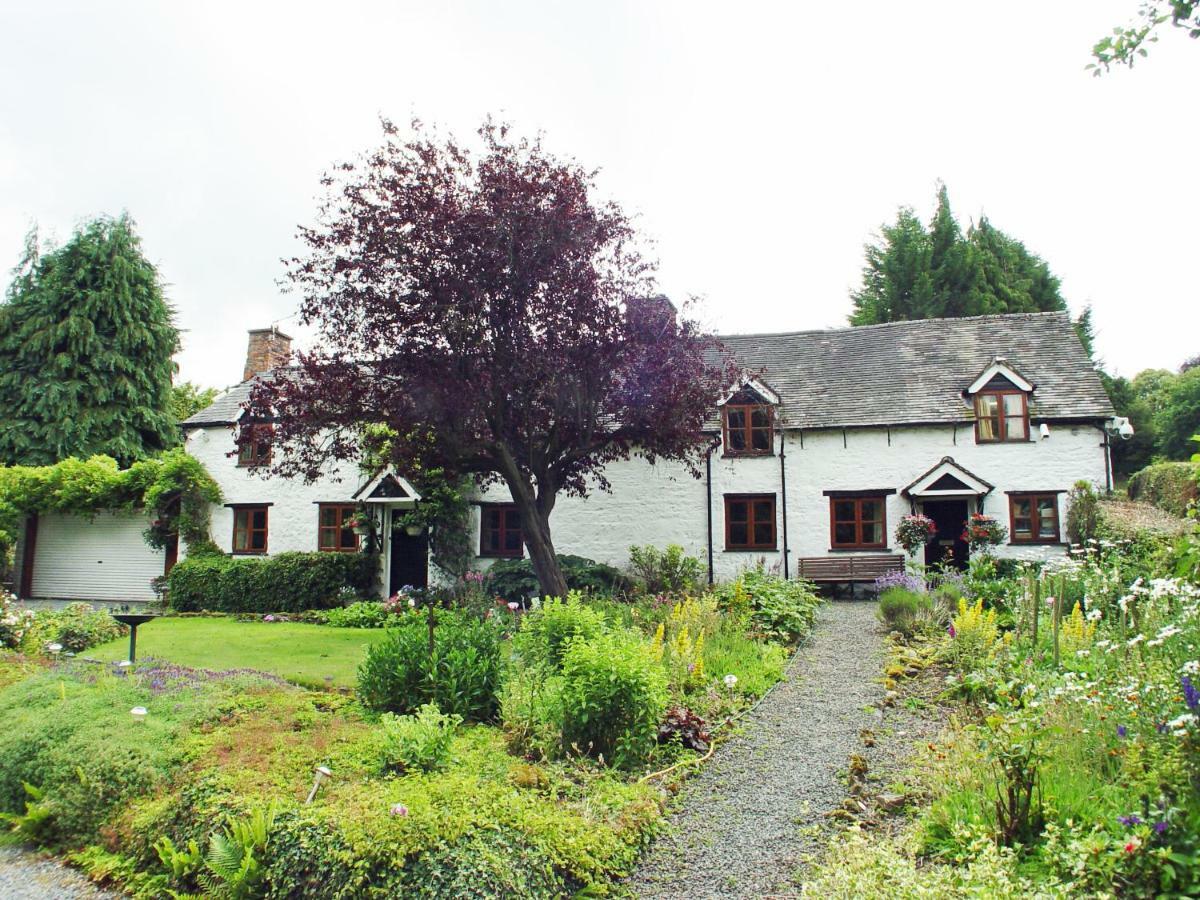 Glencoed B&B Wrexham Exteriér fotografie