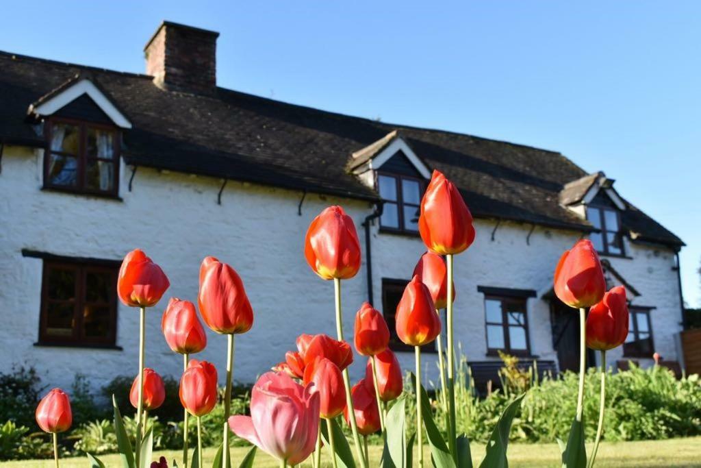 Glencoed B&B Wrexham Exteriér fotografie